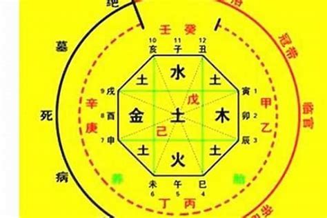 宸喜命理|生辰八字算命、五行喜用神查询（免费测算）